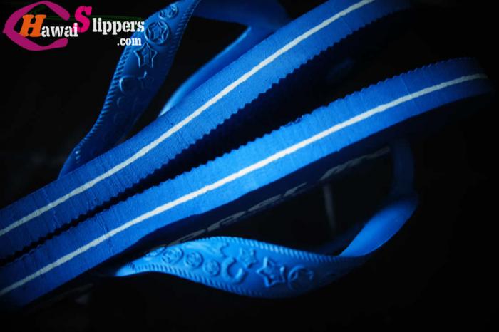 Flipper Slippers Malaysian